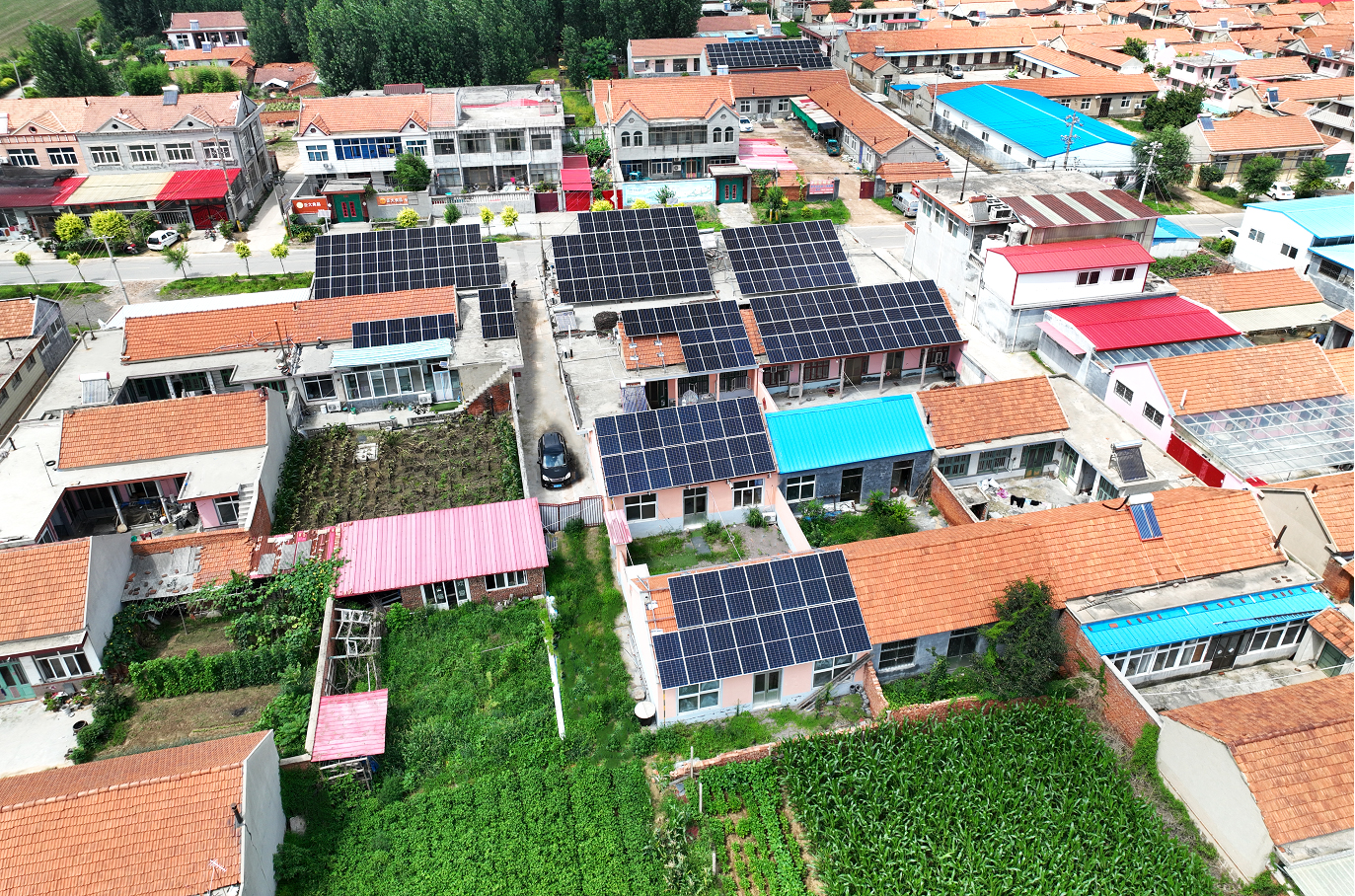 1672464632262085443.jpg 2(3).jpg